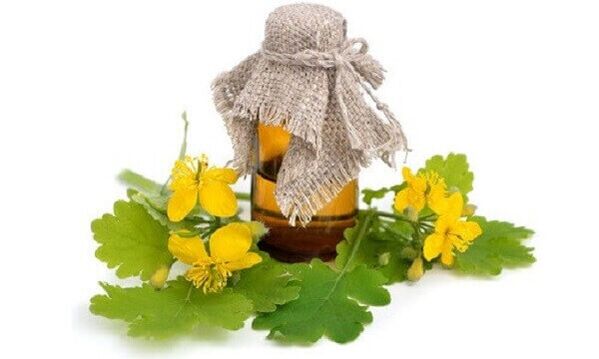 calendula oil for nail fungus